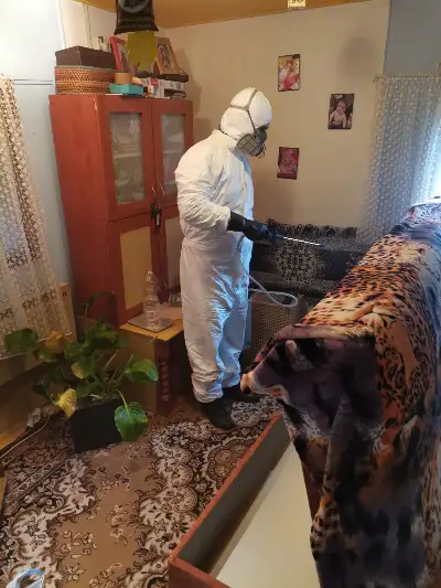 bolhairtás szakértői segítség